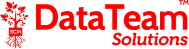 DataTeam Solutions